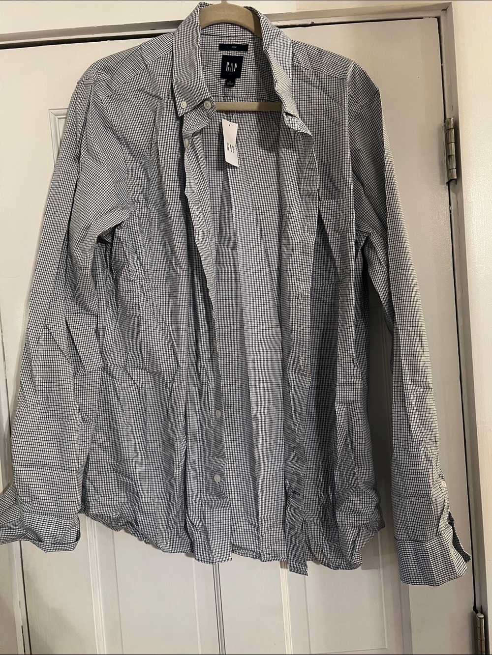 GAP Men's Micro Gingham Shirt in Blue and White